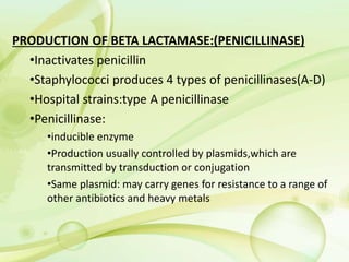 PRODUCTION OF BETA LACTAMASE:(PENICILLINASE)
•Inactivates penicillin
•Staphylococci produces 4 types of penicillinases(A-D)
•Hospital strains:type A penicillinase
•Penicillinase:
•inducible enzyme
•Production usually controlled by plasmids,which are
transmitted by transduction or conjugation
•Same plasmid: may carry genes for resistance to a range of
other antibiotics and heavy metals
 
