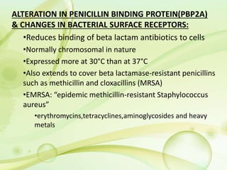 ALTERATION IN PENICILLIN BINDING PROTEIN(PBP2A)
& CHANGES IN BACTERIAL SURFACE RECEPTORS:
•Reduces binding of beta lactam antibiotics to cells
•Normally chromosomal in nature
•Expressed more at 30°C than at 37°C
•Also extends to cover beta lactamase-resistant penicillins
such as methicillin and cloxacillins (MRSA)
•EMRSA: “epidemic methicillin-resistant Staphylococcus
aureus”
•erythromycins,tetracyclines,aminoglycosides and heavy
metals
 