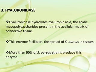 3. HYALURONIDASE
Hyaluronidase hydrolyzes hyaluronic acid, the acidic
mucopolysaccharides present in the acellular matrix of
connective tissue.
This enzyme facilitates the spread of S. aureus in tissues.
More than 90% of S. aureus strains produce this
enzyme.
 