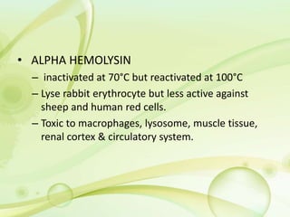 • ALPHA HEMOLYSIN
– inactivated at 70°C but reactivated at 100°C
– Lyse rabbit erythrocyte but less active against
sheep and human red cells.
– Toxic to macrophages, lysosome, muscle tissue,
renal cortex & circulatory system.
 