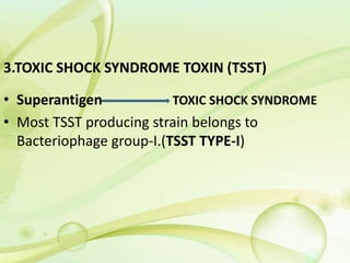 3.TOXIC SHOCK SYNDROME TOXIN (TSST)
• Superantigen TOXIC SHOCK SYNDROME
• Most TSST producing strain belongs to
Bacteriophage group-I.(TSST TYPE-I)
 