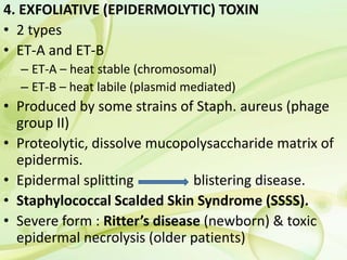 4. EXFOLIATIVE (EPIDERMOLYTIC) TOXIN
• 2 types
• ET-A and ET-B
– ET-A – heat stable (chromosomal)
– ET-B – heat labile (plasmid mediated)
• Produced by some strains of Staph. aureus (phage
group II)
• Proteolytic, dissolve mucopolysaccharide matrix of
epidermis.
• Epidermal splitting blistering disease.
• Staphylococcal Scalded Skin Syndrome (SSSS).
• Severe form : Ritter’s disease (newborn) & toxic
epidermal necrolysis (older patients)
 