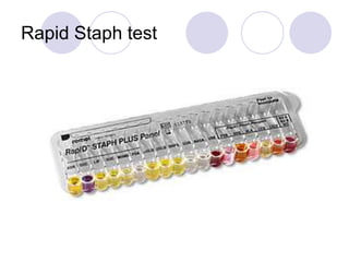 Rapid Staph test
 