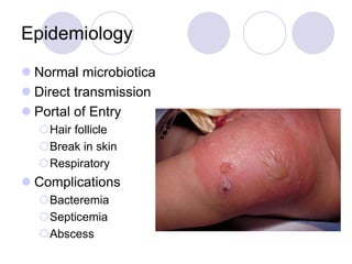Epidemiology
 Normal microbiotica
 Direct transmission
 Portal of Entry
Hair follicle
Break in skin
Respiratory
 Complications
Bacteremia
Septicemia
Abscess
 