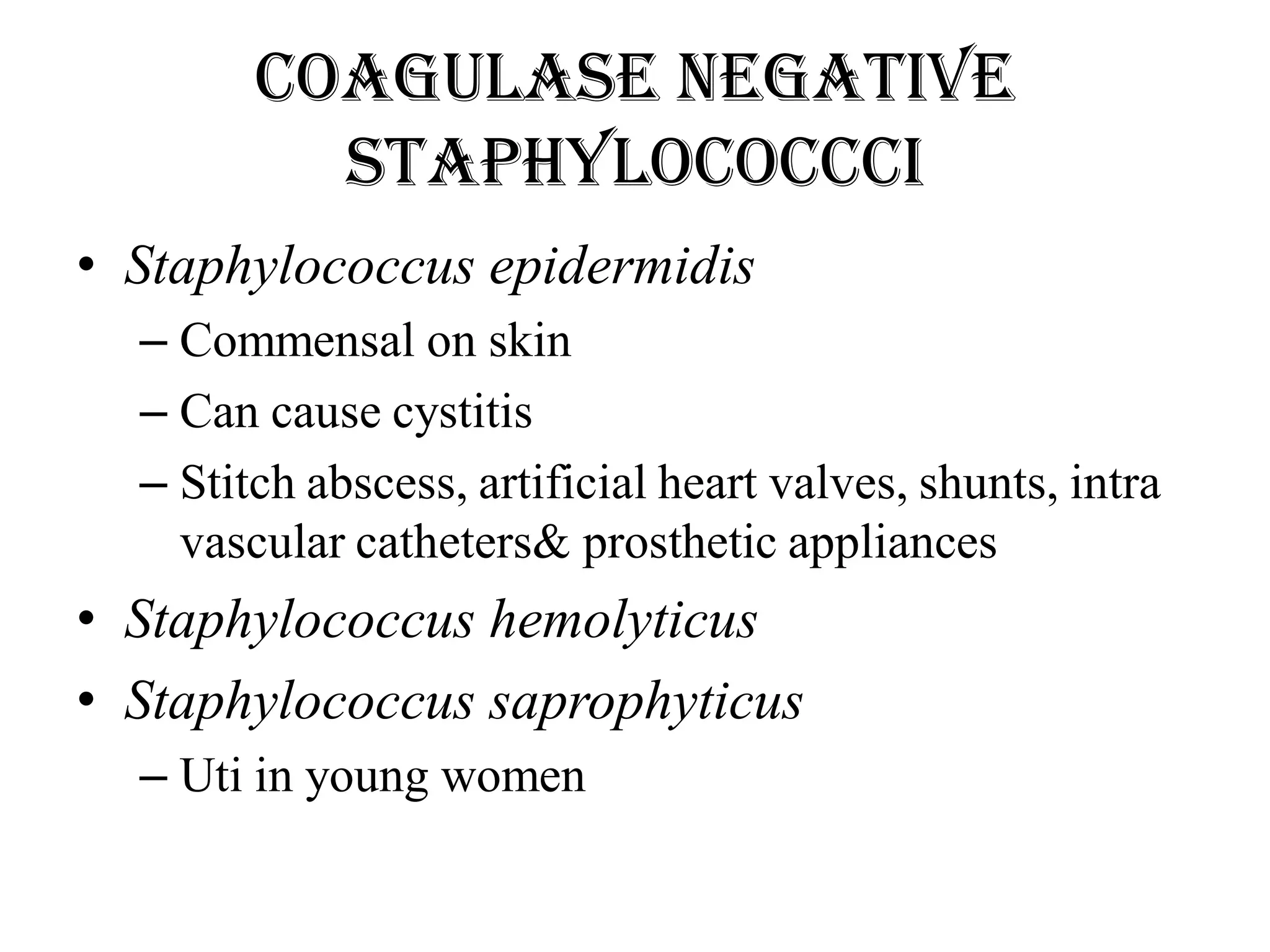 Coagulase negative
Staphylococcci
• Staphylococcus epidermidis
– Commensal on skin
– Can cause cystitis
– Stitch abscess, artificial heart valves, shunts, intra
vascular catheters& prosthetic appliances
• Staphylococcus hemolyticus
• Staphylococcus saprophyticus
– Uti in young women
 