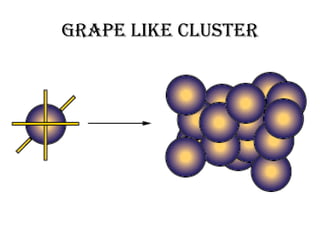 Grape like cluster
 