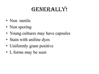 Generally!
• Non motile
• Non sporing
• Young cultures may have capsules
• Stain with aniline dyes
• Uniformly gram positive
• L forms may be seen
 