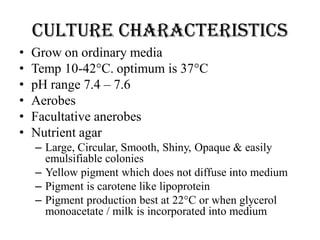 Culture characteristics
• Grow on ordinary media
• Temp 10-42°C. optimum is 37°C
• pH range 7.4 – 7.6
• Aerobes
• Facultative anerobes
• Nutrient agar
– Large, Circular, Smooth, Shiny, Opaque & easily
emulsifiable colonies
– Yellow pigment which does not diffuse into medium
– Pigment is carotene like lipoprotein
– Pigment production best at 22°C or when glycerol
monoacetate / milk is incorporated into medium
 