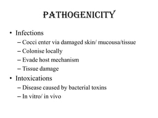 Pathogenicity
• Infections
– Cocci enter via damaged skin/ mucousa/tissue
– Colonise locally
– Evade host mechanism
– Tissue damage
• Intoxications
– Disease caused by bacterial toxins
– In vitro/ in vivo
 
