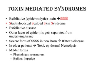 Toxin mediated syndromes
• Exfoliative (epidermolytic) toxin SSSS
• Staphylococcal Scalded Skin Syndrome
• Exfoliative disease
• Outer layer of epidermis gets separated from
underlying tissue
• Severe form of SSSS in new born  Ritter’s disease
• In older patients  Toxic epidermal Necrolysis
• Milder forms
– Phemphigus neonatorum
– Bullous impetigo
 