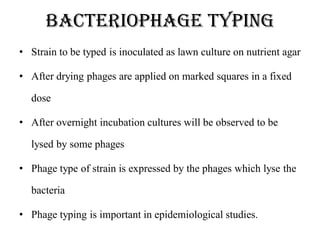 Bacteriophage typing
• Strain to be typed is inoculated as lawn culture on nutrient agar
• After drying phages are applied on marked squares in a fixed
dose
• After overnight incubation cultures will be observed to be
lysed by some phages
• Phage type of strain is expressed by the phages which lyse the
bacteria
• Phage typing is important in epidemiological studies.
 