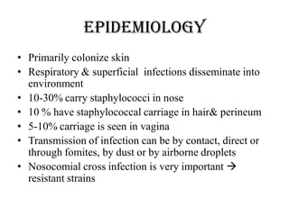Epidemiology
• Primarily colonize skin
• Respiratory & superficial infections disseminate into
environment
• 10-30% carry staphylococci in nose
• 10 % have staphylococcal carriage in hair& perineum
• 5-10% carriage is seen in vagina
• Transmission of infection can be by contact, direct or
through fomites, by dust or by airborne droplets
• Nosocomial cross infection is very important 
resistant strains
 
