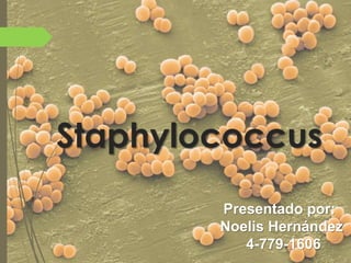 Staphylococcus
Presentado por:
Noelis Hernández
4-779-1606
 