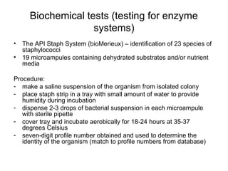 Staphylococcus streptococcus bacteriological diagnosis_i | PPT