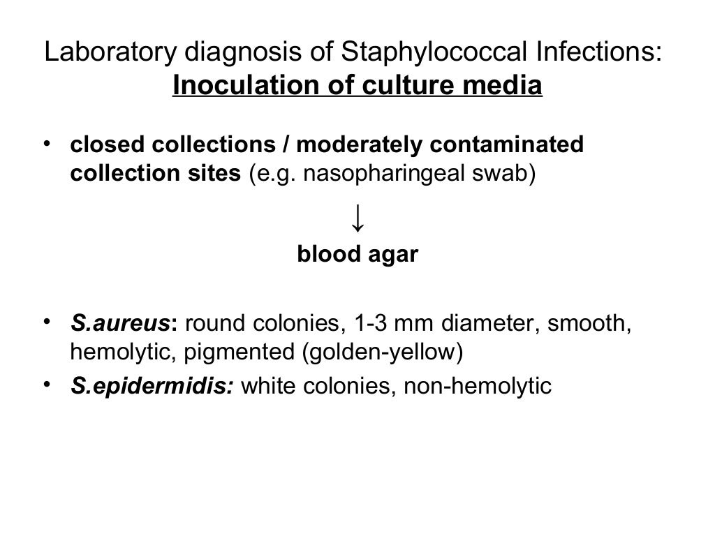 Staphylococcus streptococcus bacteriological diagnosis_i