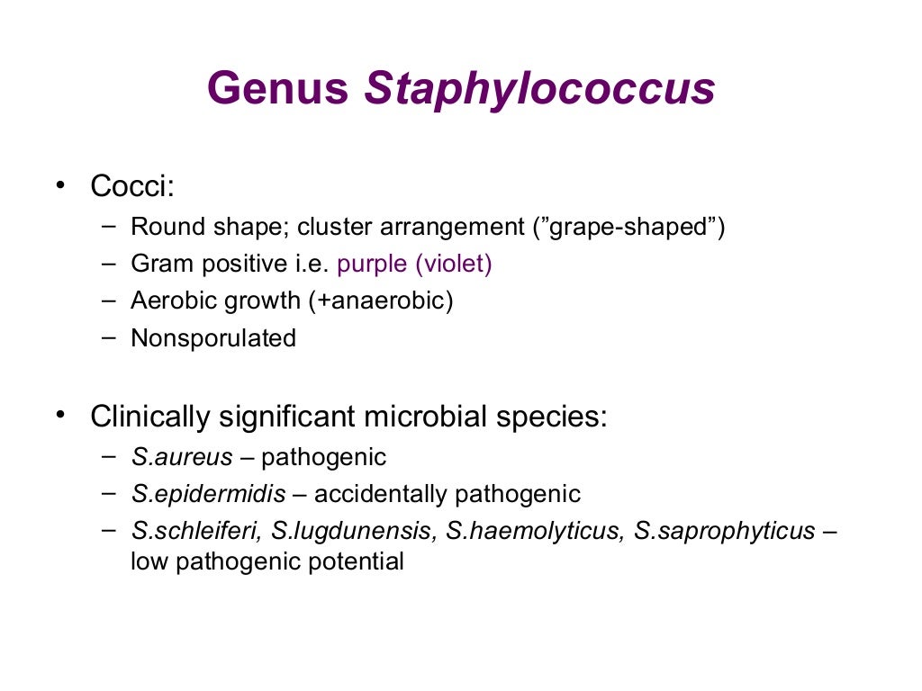 Staphylococcus streptococcus bacteriological diagnosis_i