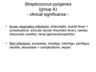 Streptococcus pyogenes
(group A)
- clinical significance -
• Acute, respiratory infections: pharyngitis, scarlet fever +
complications: articular (acute rheumatic fever), cardiac
(rheumatic carditis), renal (glomerulonephritis)
• Skin infections: erysipelas, impetigo, intertrigo, pemfigus,
celulitis, abscesses + complications: sepsis
 