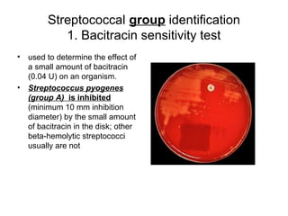 Streptococcal group identification
1. Bacitracin sensitivity test
• used to determine the effect of
a small amount of bacitracin
(0.04 U) on an organism.
• Streptococcus pyogenes
(group A) is inhibited
(minimum 10 mm inhibition
diameter) by the small amount
of bacitracin in the disk; other
beta-hemolytic streptococci
usually are not
 