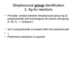 Streptococcal group identification
2. Ag-Ac reactions
• Principle: contact between streptococcal group Ag (C
polysacharide) and homologous Ab (serum anti-group
A / B / C...= ”antisera”)
• the C polysacharide is located within the bacterial wall
• ↓
• Preliminary extraction is required
 