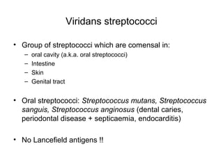 Viridans streptococci
• Group of streptococci which are comensal in:
– oral cavity (a.k.a. oral streptococci)
– Intestine
– Skin
– Genital tract
• Oral streptococci: Streptococcus mutans, Streptococcus
sanguis, Streptococcus anginosus (dental caries,
periodontal disease + septicaemia, endocarditis)
• No Lancefield antigens !!
 