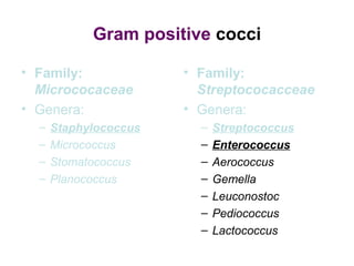 Gram positive cocci
• Family:
Micrococaceae
• Genera:
– Staphylococcus
– Micrococcus
– Stomatococcus
– Planococcus
• Family:
Streptococacceae
• Genera:
– Streptococcus
– Enterococcus
– Aerococcus
– Gemella
– Leuconostoc
– Pediococcus
– Lactococcus
 