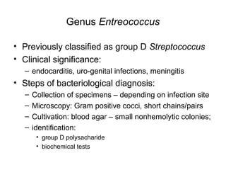 Genus Entreococcus
• Previously classified as group D Streptococcus
• Clinical significance:
– endocarditis, uro-genital infections, meningitis
• Steps of bacteriological diagnosis:
– Collection of specimens – depending on infection site
– Microscopy: Gram positive cocci, short chains/pairs
– Cultivation: blood agar – small nonhemolytic colonies;
– identification:
• group D polysacharide
• biochemical tests
 