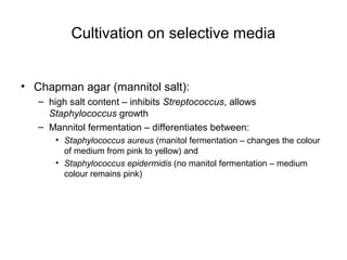 Cultivation on selective media
• Chapman agar (mannitol salt):
– high salt content – inhibits Streptococcus, allows
Staphylococcus growth
– Mannitol fermentation – differentiates between:
• Staphylococcus aureus (manitol fermentation – changes the colour
of medium from pink to yellow) and
• Staphylococcus epidermidis (no manitol fermentation – medium
colour remains pink)
 