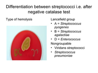 Differentiation between streptococci i.e. after
negative catalase test
Type of hemolysis Lancefield group
• A = Streptococcus
pyogenes
• B = Streptococcus
agalactiae
• D = Enterococcus
Nongroupable
• Viridans streptococci
• Streptococcus
pneumoniae
 