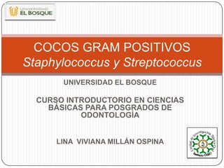 COCOS GRAM POSITIVOS
Staphylococcus y Streptococcus
       UNIVERSIDAD EL BOSQUE

  CURSO INTRODUCTORIO EN CIENCIAS
    BÁSICAS PARA POSGRADOS DE
           ODONTOLOGÍA


      LINA VIVIANA MILLÁN OSPINA
 