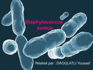 Staphylococcus
    aureus




   Réalisé par : DAOULATLI Youssef
 