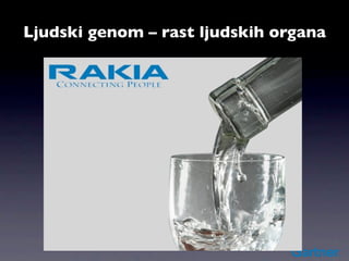 Ljudski genom – rast ljudskih organa
 