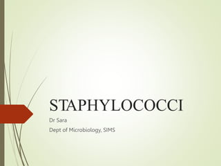 STAPHYLOCOCCI
Dr Sara
Dept of Microbiology, SIMS
 