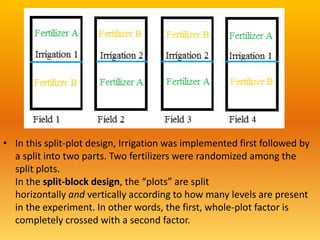 • In this split-plot design, Irrigation was implemented first followed by
a split into two parts. Two fertilizers were randomized among the
split plots.
In the split-block design, the “plots” are split
horizontally and vertically according to how many levels are present
in the experiment. In other words, the first, whole-plot factor is
completely crossed with a second factor.
 