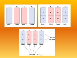 (Sub plots)
(Main plots)
 
