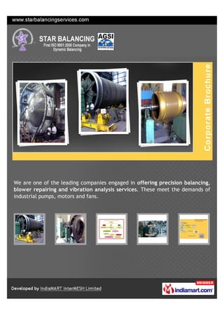We are one of the leading companies engaged in offering precision balancing,
blower repairing and vibration analysis services. These meet the demands of
industrial pumps, motors and fans.
 