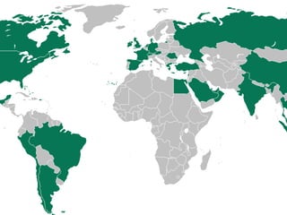 International Expansion
 