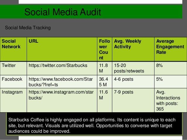 social media audit