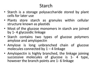 Starch
• Starch is a storage polysaccharide stored by plant
cells for later use
• Plants store starch as granules within cellular
structure known as plastids
• Most of the glucose monomers in starch are joined
by 1- 4 glycosidic linkage
• Starch contains two types of glucose polymers
amylose and amylopectin
• Amylose is long unbranched chain of glucose
molecules connected by 1 – 4 linkage
• Amylopectin is highly branched, the linkage joining
successive molecules of glucose is 1- 4 type,
however the branch points are 1- 6 linkage
 