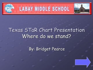 Texas STaR Chart PresentationWhere do we stand? By: Bridget Pearce 