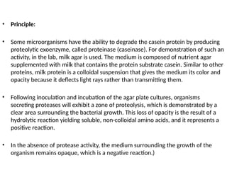 • Principle:
• Some microorganisms have the ability to degrade the casein protein by producing
proteolytic exoenzyme, called proteinase (caseinase). For demonstration of such an
activity, in the lab, milk agar is used. The medium is composed of nutrient agar
supplemented with milk that contains the protein substrate casein. Similar to other
proteins, milk protein is a colloidal suspension that gives the medium its color and
opacity because it deflects light rays rather than transmitting them.
• Following inoculation and incubation of the agar plate cultures, organisms
secreting proteases will exhibit a zone of proteolysis, which is demonstrated by a
clear area surrounding the bacterial growth. This loss of opacity is the result of a
hydrolytic reaction yielding soluble, non-colloidal amino acids, and it represents a
positive reaction.
• In the absence of protease activity, the medium surrounding the growth of the
organism remains opaque, which is a negative reaction.)
 