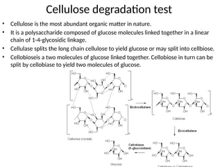 Cellulose degradation test
• Cellulose is the most abundant organic matter in nature.
• It is a polysaccharide composed of glucose molecules linked together in a linear
chain of 1-4-glycosidic linkage.
• Cellulase splits the long chain cellulose to yield glucose or may split into cellbiose.
• Cellobioseis a two molecules of glucose linked together. Cellobiose in turn can be
split by cellobiase to yield two molecules of glucose.
 