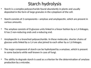 Starch hydrolysis
• Starch is a complex polysaccharide found abundantly in plants and usually
deposited in the form of large granules in the cytoplasm of the cell.
• Starch consists of 2 components—amylose and amylopectin, which are present in
various amounts.
• The amylose consists of D-glucose units linked in a linear fashion by α-1,4 linkages.
It has 2 non-reducing ends and a reducing end.
• Amylopectin is a branched polysaccharide. In these molecules, shorter chains of
glucose units linked by α-1,4 are also joined to each other by α-1,6 linkages.
• The major component of starch can be hydrolyzed by a-amylase, which is present
in some bacteria while well known in case of fungi.
• The ability to degrade starch is used as a criterion for the determination of amylase
production by a microbe.
 