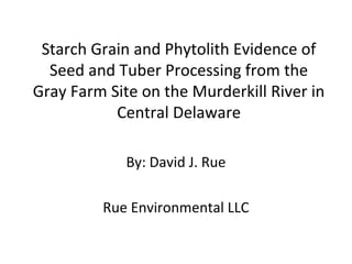 Starch Grain and Phytolith Evidence of
  Seed and Tuber Processing from the
Gray Farm Site on the Murderkill River in
           Central Delaware

             By: David J. Rue

         Rue Environmental LLC
 