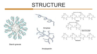 STRUCTURE
Starch granule
Amylopectin
Amylose
 