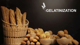 GELATINIZATION
 