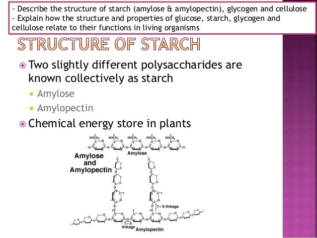 Starch presentation