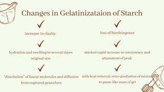hydration and swelling to several times
original size
Changes in Gelatinizataion of Starch
loss of birefringence
increase in clarity
marked rapid increase in consistency and
attainment of peak
"dissolution" of linear molecules and diffusion
from ruptured granulues
with heat removal, retro gradiation of mixture
to paste-like mass of gel
 