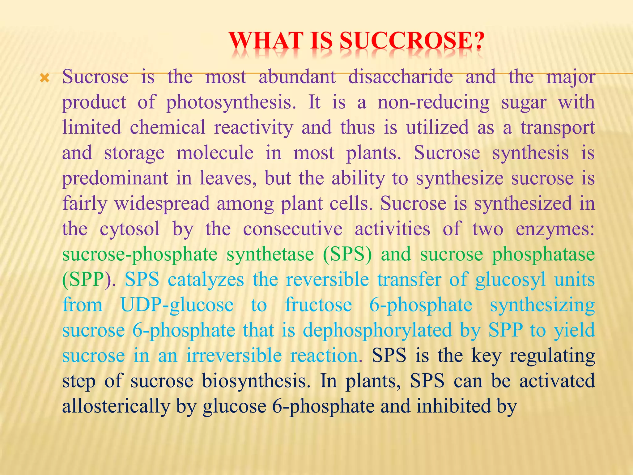 WHAT IS SUCCROSE?
 Sucrose is the most abundant disaccharide and the major
product of photosynthesis. It is a non-reducing sugar with
limited chemical reactivity and thus is utilized as a transport
and storage molecule in most plants. Sucrose synthesis is
predominant in leaves, but the ability to synthesize sucrose is
fairly widespread among plant cells. Sucrose is synthesized in
the cytosol by the consecutive activities of two enzymes:
sucrose-phosphate synthetase (SPS) and sucrose phosphatase
(SPP). SPS catalyzes the reversible transfer of glucosyl units
from UDP-glucose to fructose 6-phosphate synthesizing
sucrose 6-phosphate that is dephosphorylated by SPP to yield
sucrose in an irreversible reaction. SPS is the key regulating
step of sucrose biosynthesis. In plants, SPS can be activated
allosterically by glucose 6-phosphate and inhibited by
 