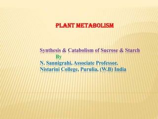 Synthesis & Catabolism of Sucrose & Starch
By
N. Sannigrahi, Associate Professor,
Nistarini College, Purulia, (W.B) India
Plant metabolism
 
