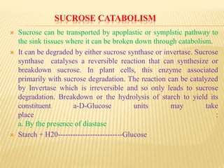 SUCROSE CATABOLISM
 Sucrose can be transported by apoplastic or symplstic pathway to
the sink tissues where it can be broken down through catabolism.
 It can be degraded by either sucrose synthase or invertase. Sucrose
synthase catalyses a reversible reaction that can synthesize or
breakdown sucrose. In plant cells, this enzyme associated
primarily with sucrose degradation. The reaction can be catalyzed
by Invertase which is irreversible and so only leads to sucrose
degradation. Breakdown or the hydrolysis of starch to yield its
constituent a-D-Glucose units may take
place :
a. By the presence of diastase
 Starch + H20--------------------------Glucose
 